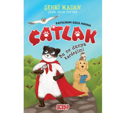 Bu Ne Dünya Kardeşim! - Çatlak - Patilerin Gücü Adına