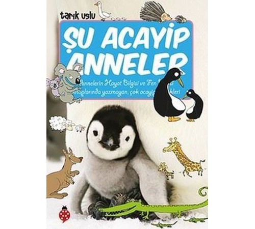 Şu Acayip Anneler