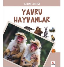 Adım Adım - Yavru Hayvanlar