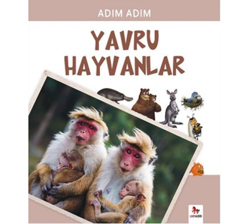 Adım Adım - Yavru Hayvanlar