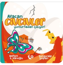 Afacan Civcivler Yumurtadan Çıkıyor!
