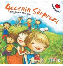 Gecenin Sürprizi  Kaybolan Renkler-22X22 cm