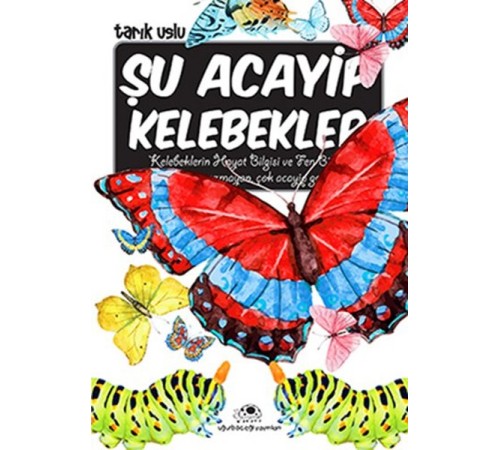 Şu Acayip Kelebekler Şu Acayip Kelebekler
