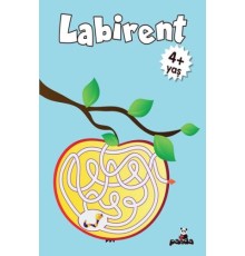 Labirent 4 Yaş