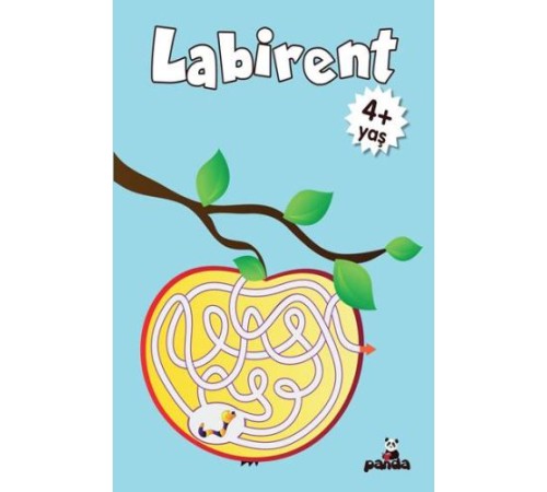 Labirent 4 Yaş