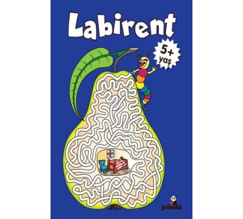 Labirent 5 Yaş