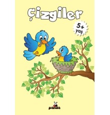 Çizgiler 5 Yaş