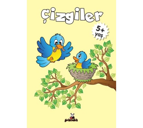 Çizgiler 5 Yaş