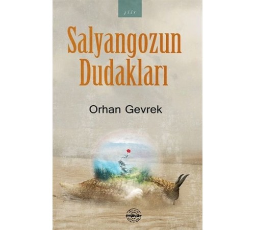 Salyangozun Dudakları Salyangozun Dudakları