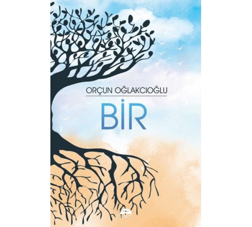 Bir Bir