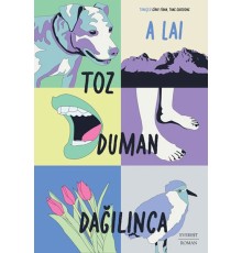 Toz Duman Dağılınca