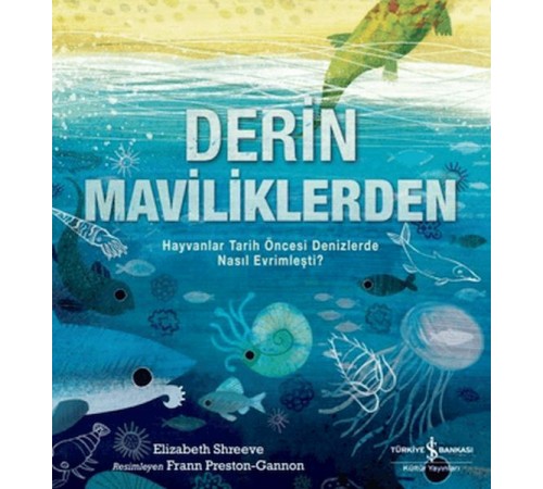 Derin Maviliklerden