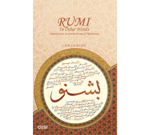 Rumi In Other Words Introduction to Commentaries of Mathnawi
