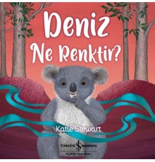 Deniz Ne Renktir?