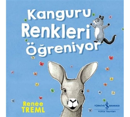 Kanguru Renkleri Öğreniyor