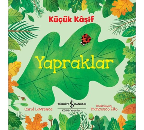 Küçük Kaşif - Yapraklar