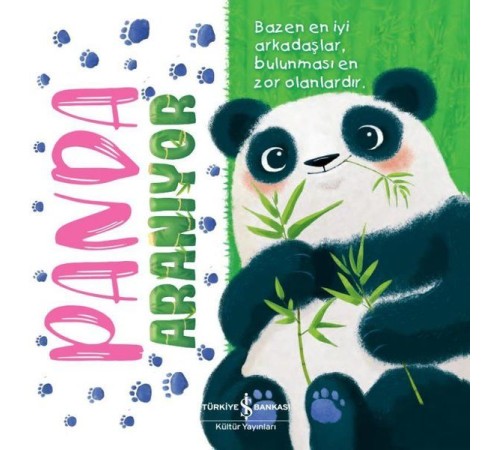 Panda Aranıyor