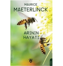Arının Hayatı