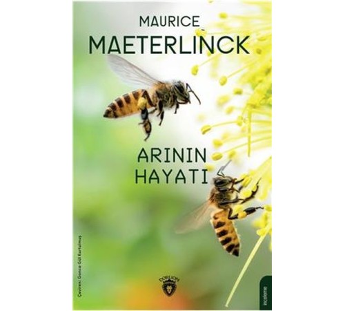 Arının Hayatı Arının Hayatı