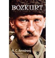 Bozkurt