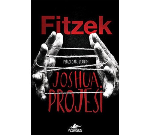 Joshua Projesi