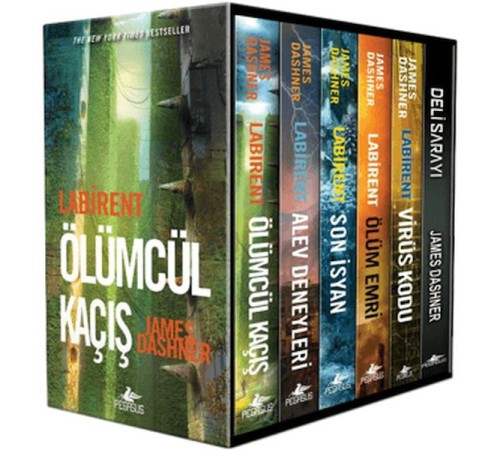 Labirent Serisi Kutulu Set (6 Kitap)