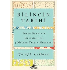 Bilincin Tarihi: İnsan Beyninin Gelişiminin 4 Milyar Yıllık Hikayesi