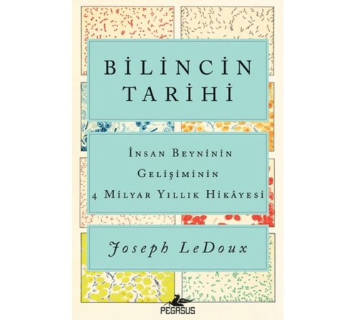 Bilincin Tarihi: İnsan Beyninin Gelişiminin 4 Milyar Yıllık Hikayesi
