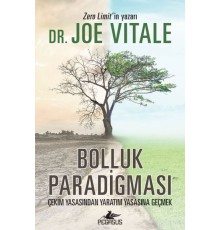 Bolluk Paradigması
