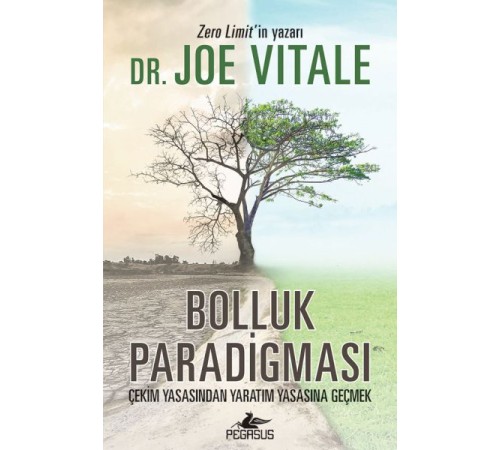Bolluk Paradigması