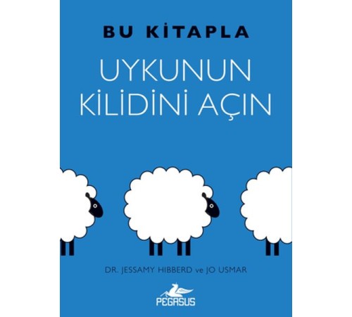 Bu Kitapla Uykunun Kilidini Açın