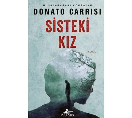Sisteki Kız