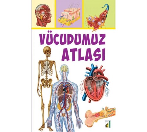 Vücudumuz Atlası