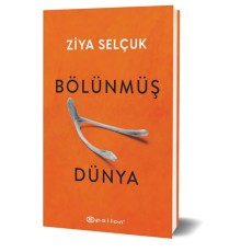 Bölünmüş Dünya