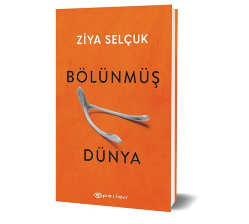 Bölünmüş Dünya