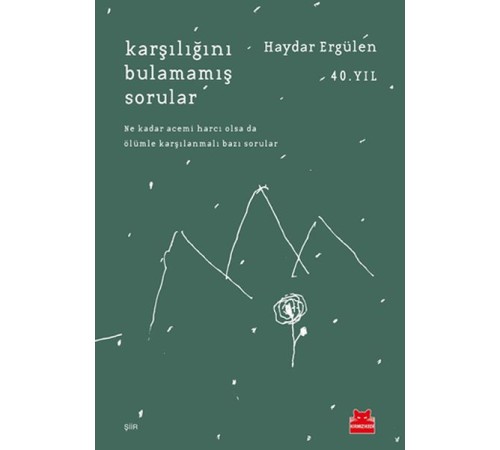 Karşılığını Bulamamış Sorular