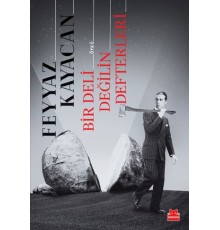Bir Deli Değilin Defterleri
