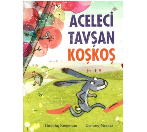 Aceleci Tavşan KoşKoş