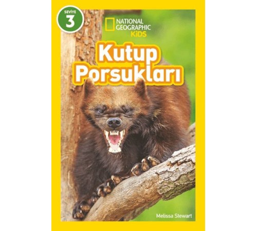 Kutup Porsukları - National Geographic Kids
