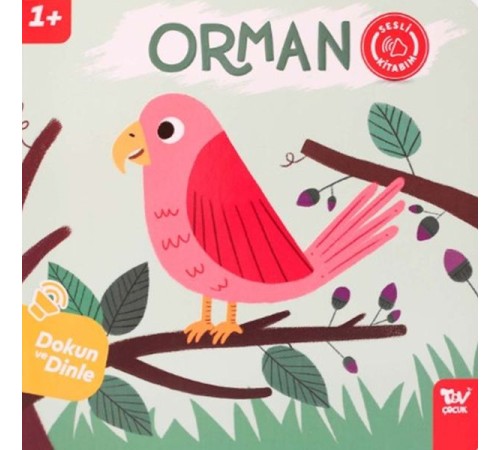 Dokun Ve Dinle Sesli Kitabım Orman