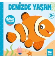 Dokun ve Hisset Denizde Yaşam