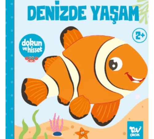 Dokun ve Hisset Denizde Yaşam