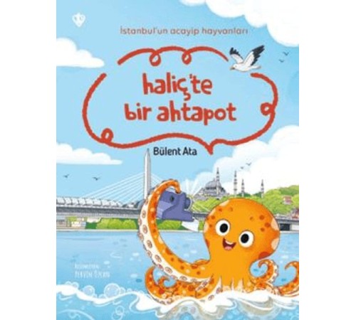 İstanbul'un Acayip Hayvanları Haliçte Bir Ahtapot