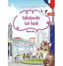 İstanbul'un Acayip Hayvanları Taksimde Bir Kedi