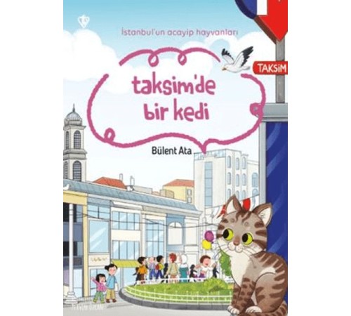 İstanbul'un Acayip Hayvanları Taksimde Bir Kedi