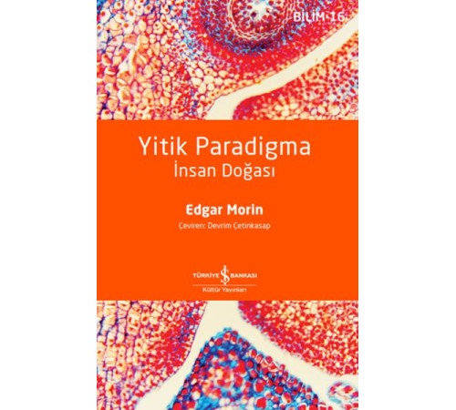 Yitik Paradigma: İnsan Doğası
