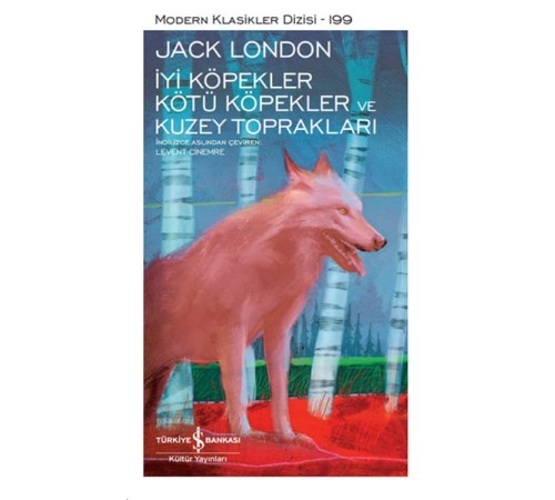 İyi Köpekler Kötü Köpekler ve Kuzey Toprakları - Modern Klasikler Dizisi (Ciltli)