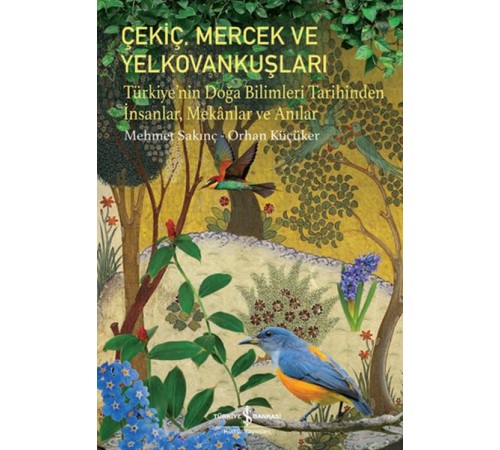 Çekiç, Mercek ve Yelkovankuşları