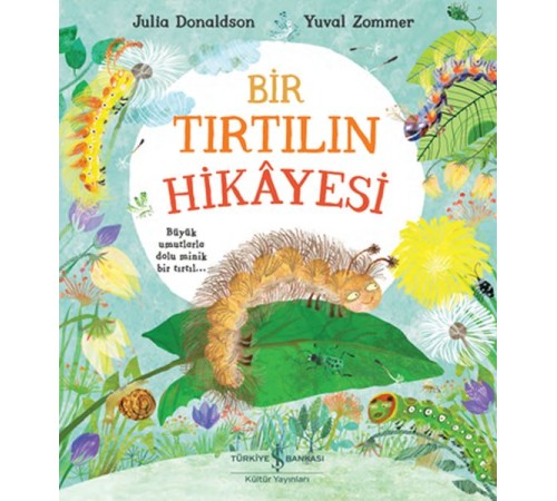 Bir Tırtılın Hikayesi