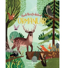 Ormanlar - Hadi Keşfedelim!